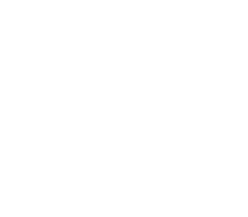 cat,catentertainment,studiocat