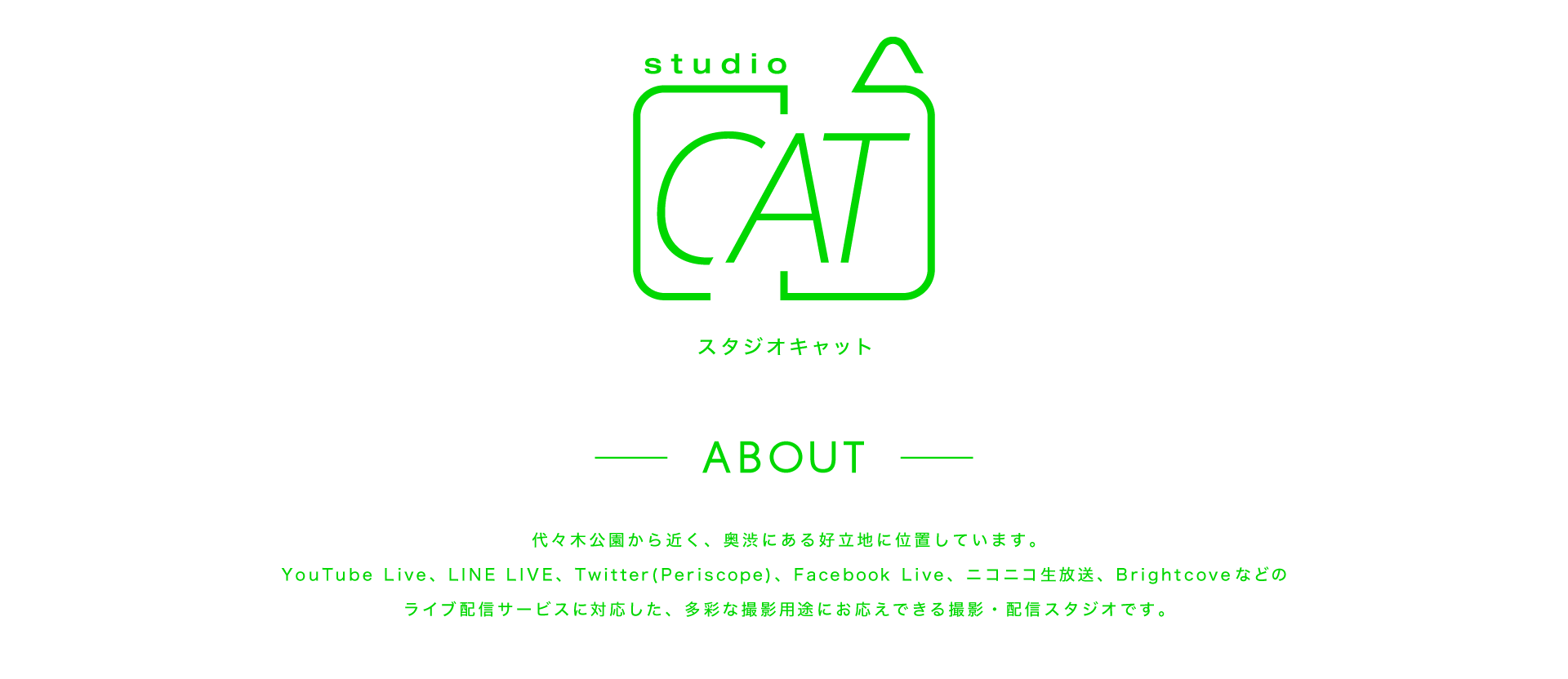studiocat,cat,studio,スタジオキャット